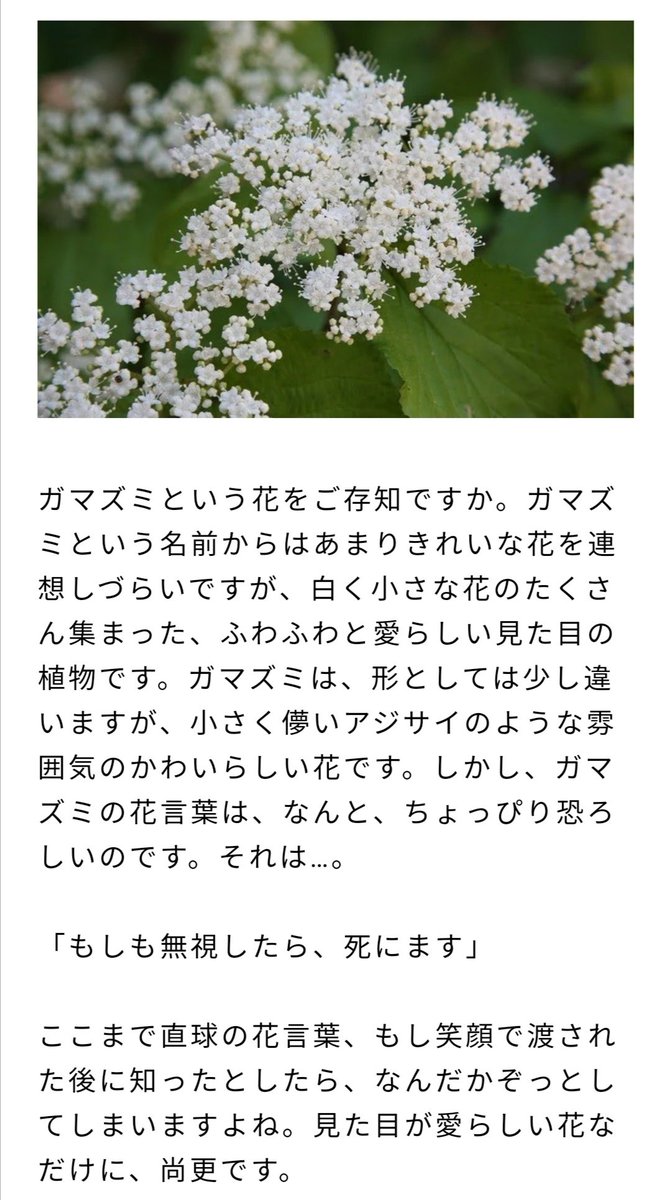 雷太日常垢 ダークソウル考察面白過ぎる ガマズミの花言葉がメンヘラでおもしろい 結合 私を無視しないで 無視したら私は死にます 愛は死より強し ここら辺怖いけど興味そそる T Co Mbxgdjrcqm