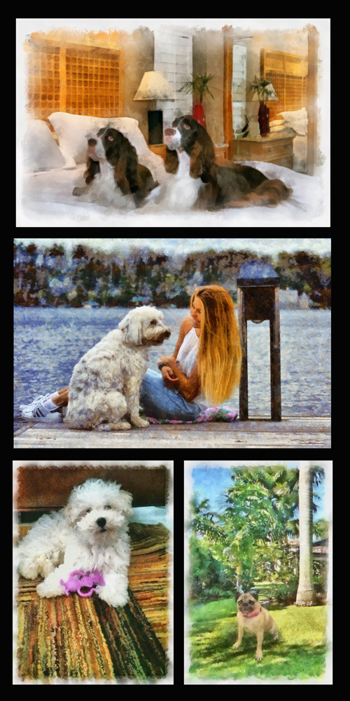 ImagesToGo's tweet image. Your pet's photo turned into artwork, printed on canvas. impressionstogo.net