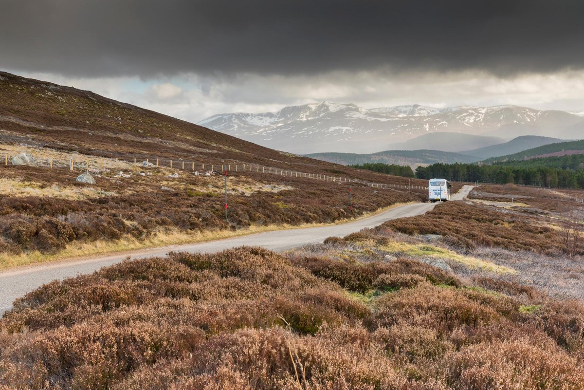 VisitScotNews's tweet photo. Many of us are looking for simple ways to make travelling more eco-friendly. Here are a few ideas on how you can see some of the most stunning and interesting parts of Scotland in a more #sustainable way 🚌⛴️🚅👉https://t.co/h5yTtJieIQ
#SlowMoScotland #sustainabletourism https://t.co/9P01pu5oID