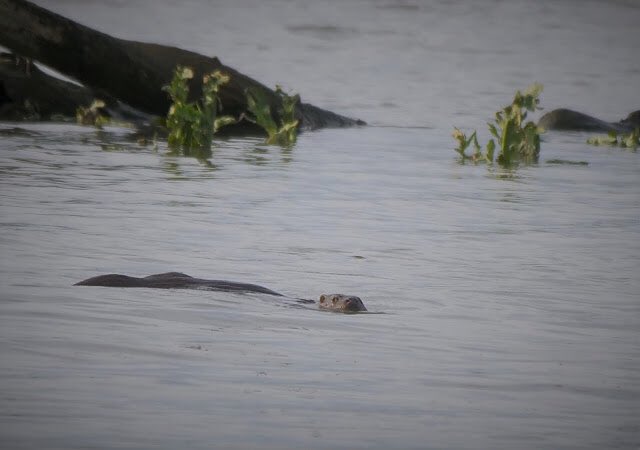 Henk Bos tweet media