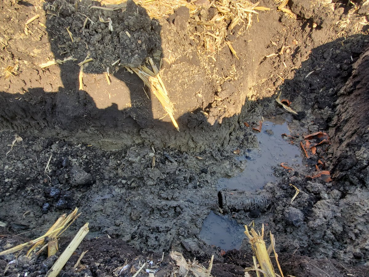 bulf90's tweet photo. Excited to see the improvements of this farm in coming years. This farm is a productive farm but always is hindered by to much water retention #tile19 https://t.co/zQA1rLrio9