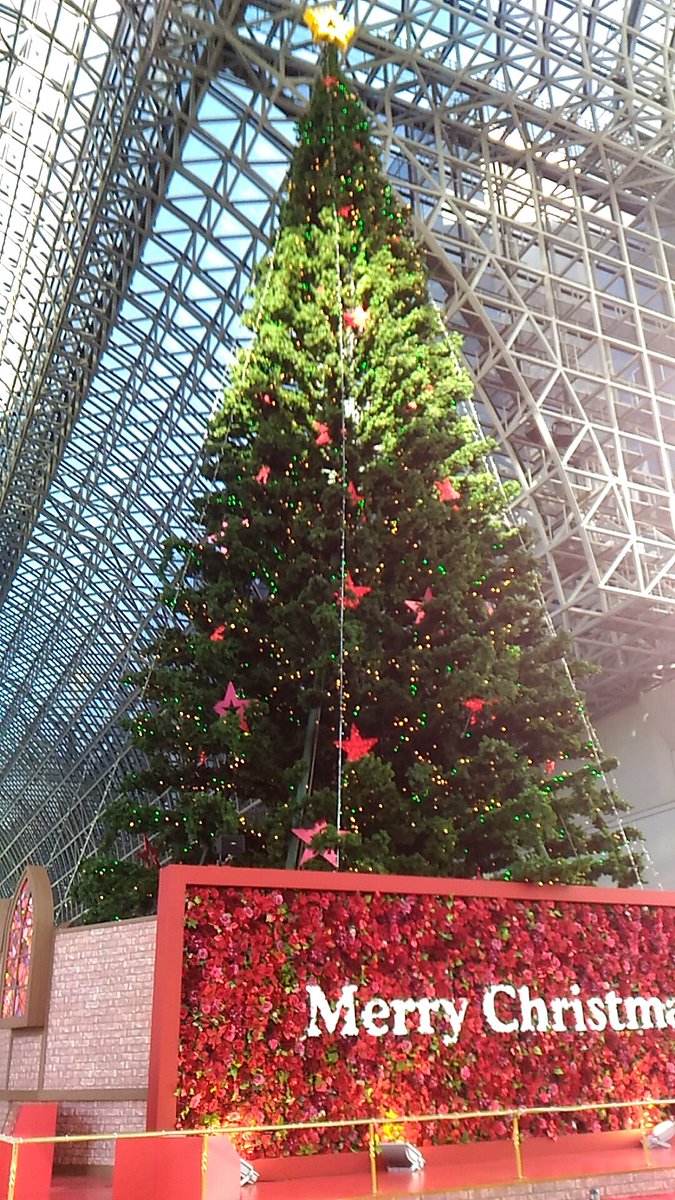 pucci´n dale tweet media