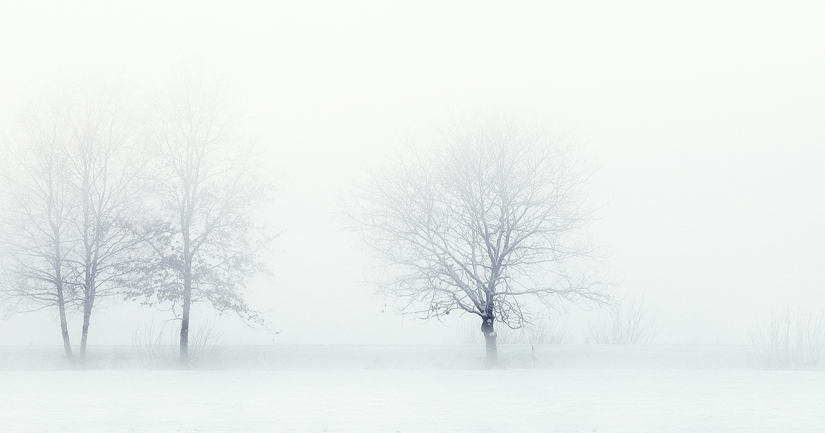 diamondvogel's tweet photo. December 21: Winter Solstice βοΈ
#FirstDayOfWinter #WinterSolstice #Snowglory #Snowdrift #winter #solstice #christmas #snow #happyholidays #nature #holiday #light #winterwonderland #wanderlust #winteriscoming #DVColor #Inspired https://t.co/6f1Hc0pHOJ