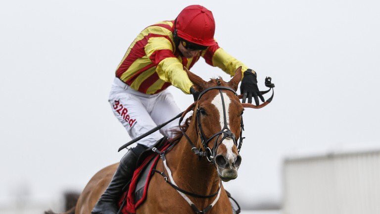 So after 414 days away from the racecourse #PoeticRhythm is back and running <a href="/haydockraces/">Haydock Park Races</a> in the 3.15. We hope he enjoys himself.