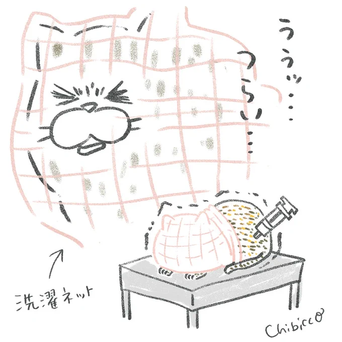 この猫たちのおかげで、深夜授乳がんばれてます? 