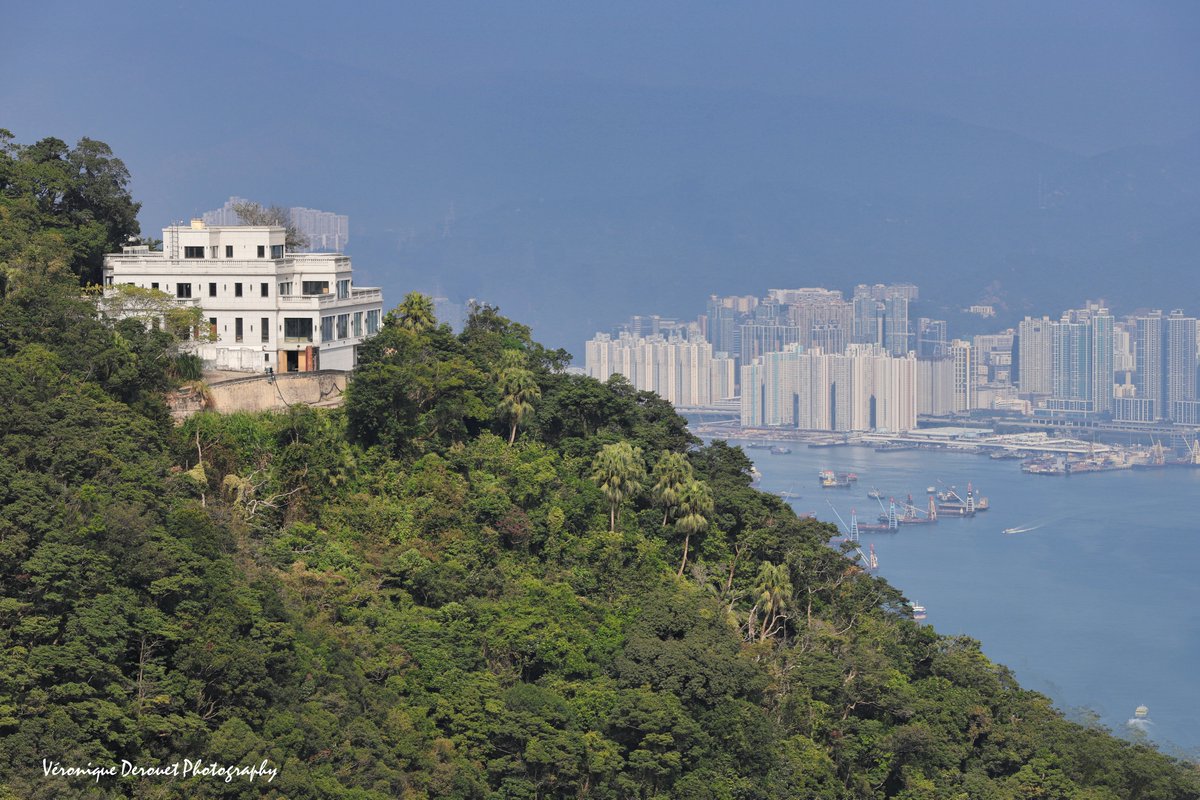 vederouet's tweet photo. 🇭🇰 Hong Kong
Saturday December 21, 2019
©Veronique Derouet
#hongkong #extremeorient #china #fareast # #travel #victoriapeak #hongkongisland
@ThePhotoHour https://t.co/nhWUlTjaXI