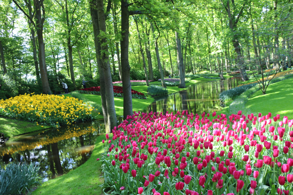 ℍ𝕠𝕝𝕝𝕒𝕟𝕕 Hashtag On Twitter