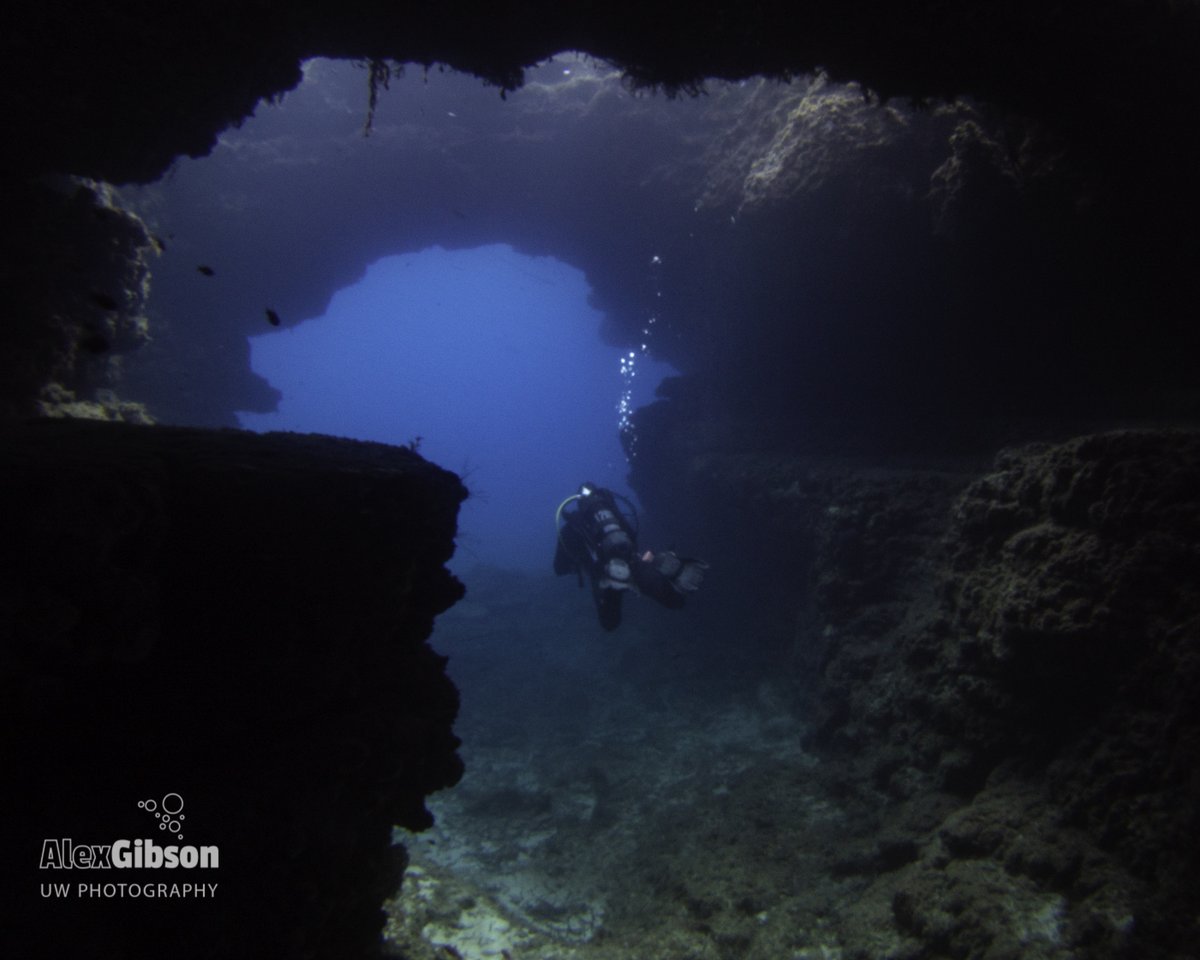 The archway at Alex's Cave (Champagne/Tony's Cave), Comino Island ... loom.ly/D3iDslw
#gozo #malta #Comino #diving #scuba #underwater #uw #scubadiving #underwaterphoto #sealife #oceanlife #tunnels #caves