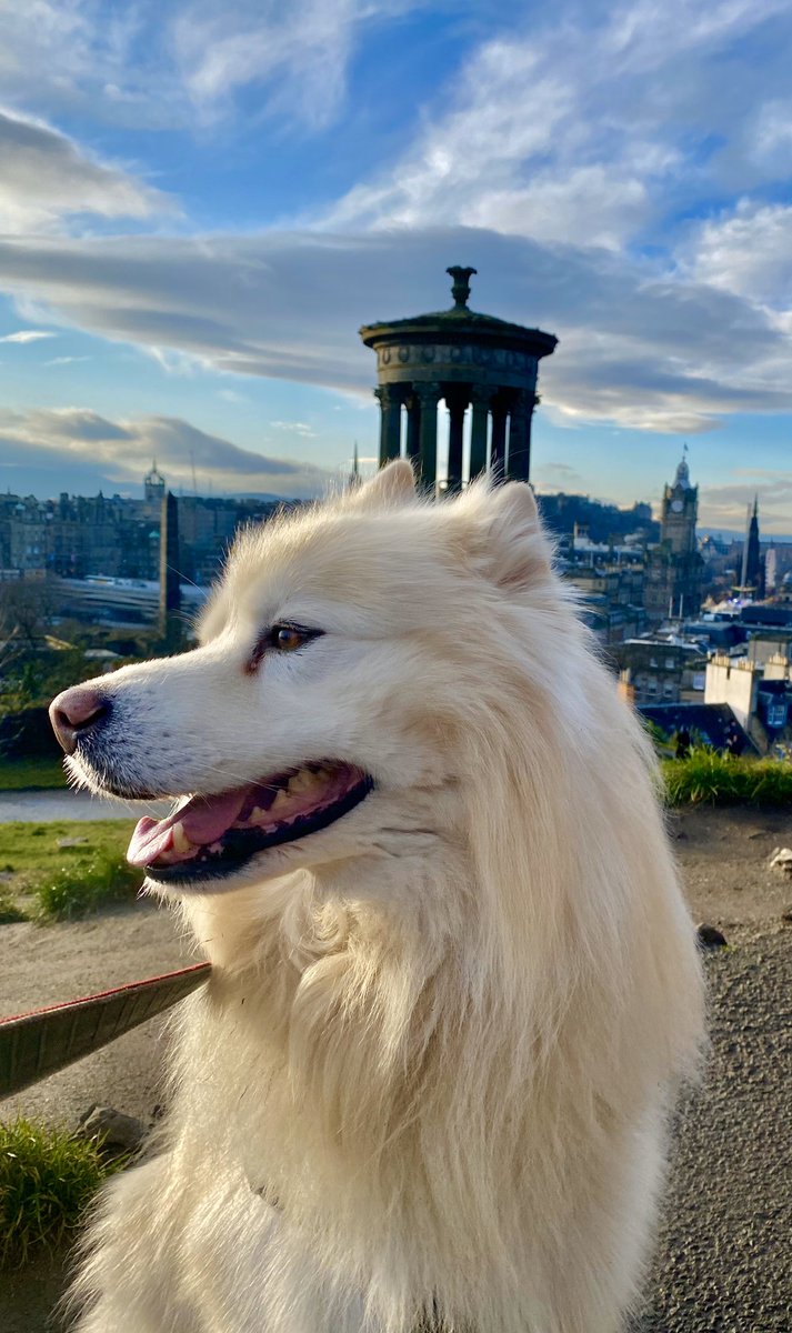 NathanCalcott's tweet image. A wee donder with the hound - now in the pub so fear not I’ve no had an epiphany for trying to get healthy, will save that BS for Hogmanay!!!