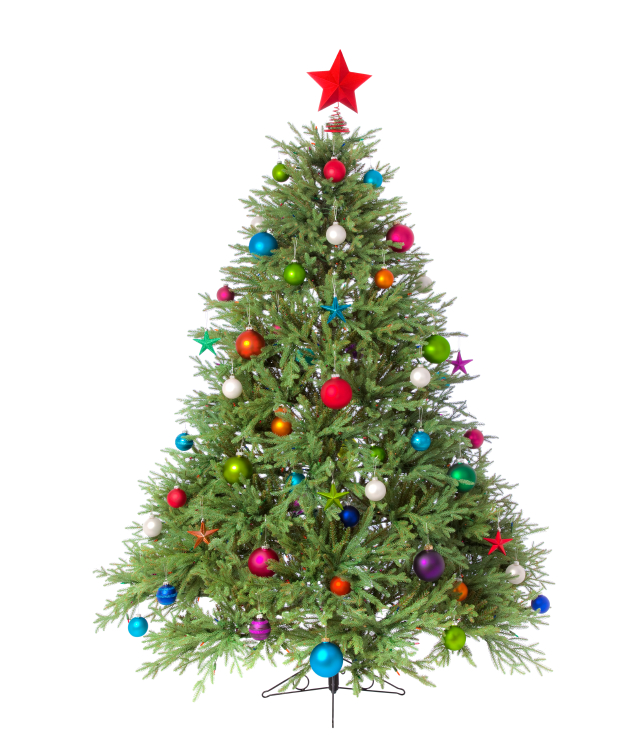Merry Christmas and Happy Holidays from all of us at John G. Kuna, Psy.D., and Associates! If anyone is interested, there are FREE Christmas Trees at 1101 Pennsylvania Avenue in Matamoras, PA, behind our building for anyone to take. #christmastrees