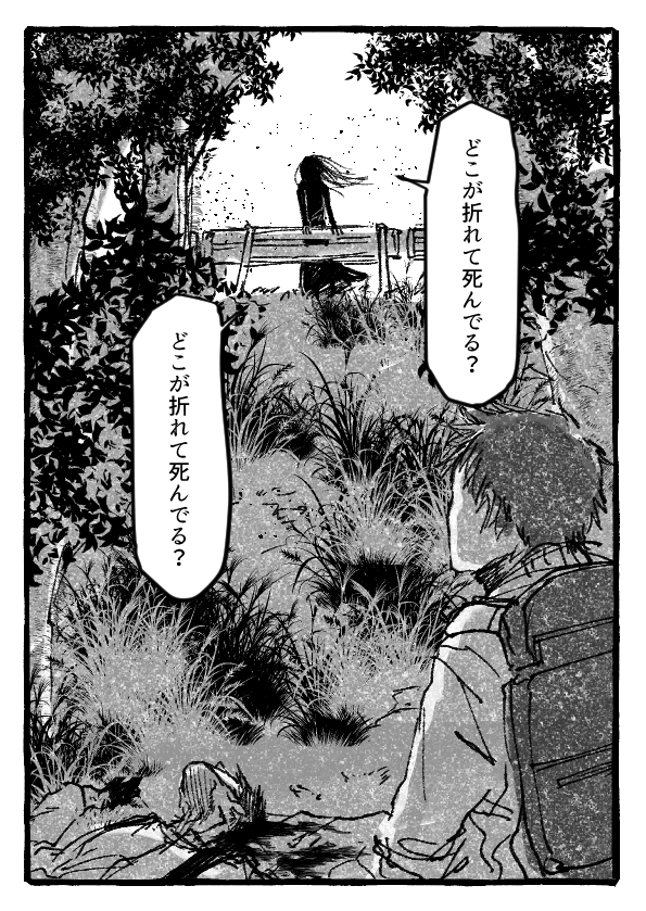 今週の禍話より「崖の黒い女」 