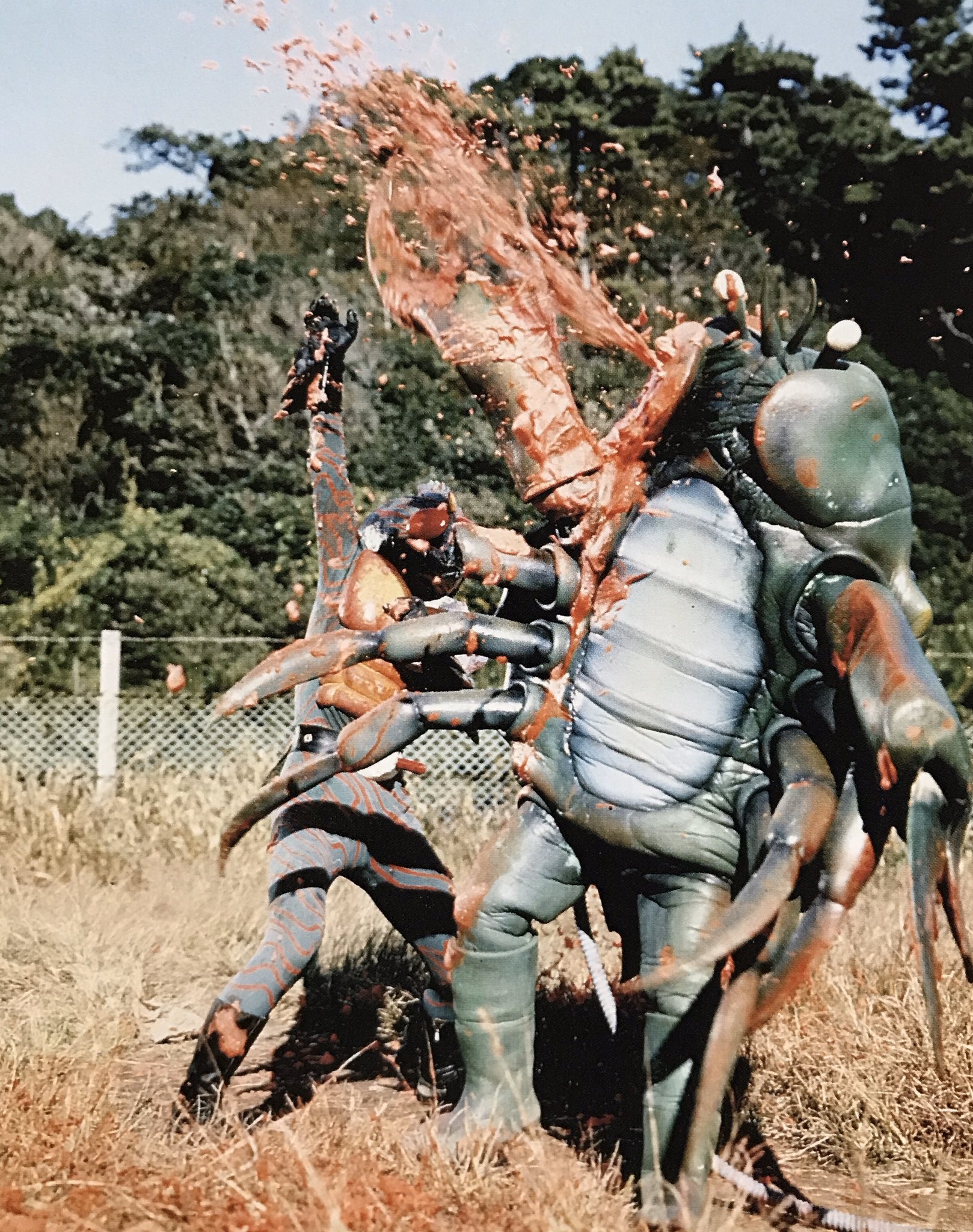 The雄 仮面ライダーアマゾン 第9話 ゆけアマゾン カニ獣人の島へ より必殺技 大切断の直撃を喰らう カニ獣人 当初 技名の呼称はなされてなかったが 第15話から 大切断 と叫ぶようになる これは毎日放送内部での会議の際 東京支社の石井照子さん The雄 仮面ライダーアマゾン 第9話 ゆけアマゾン カニ獣人の島へ より必殺技 大切断の直撃を喰らう カニ獣人 当初 技名の呼称はなされてなかったが 第15話から 大切断 と叫ぶようになる これは毎日放送内部での会議の際 東京支社の石井照子さん