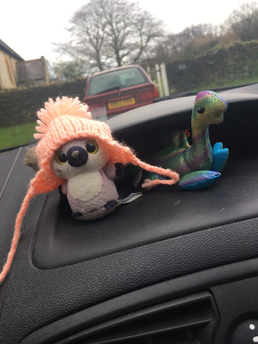 WithTheFairy's tweet photo. Thanks @innocent for keeping my car friend warm! https://t.co/uld68urQN1