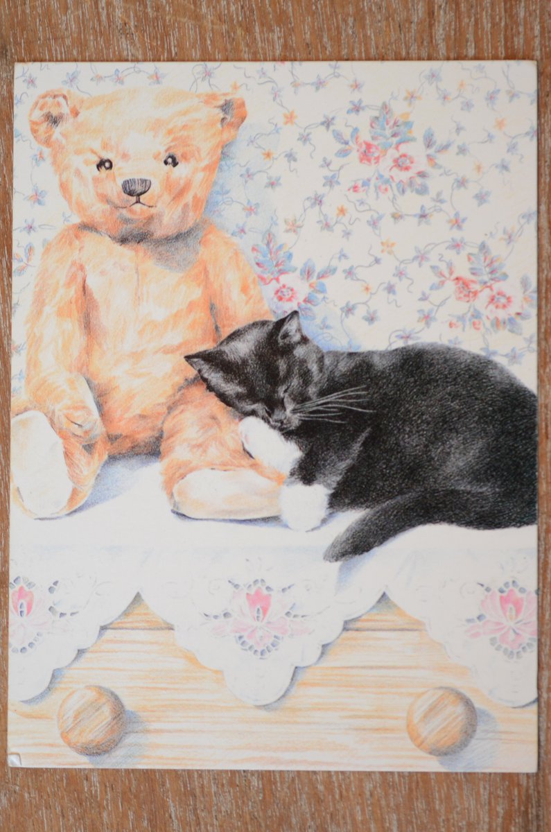 belly_fluffy's tweet photo. Ending this weekend! 10% proceeds to Cat Protection, and the rest to cover vet bills and upkeep for Fluffy, Jet and Bagpuss RIP Clover #CatsofTwitter #CatPostcard 
https://t.co/Ok5igyJDIt https://t.co/5qSaCLOVds