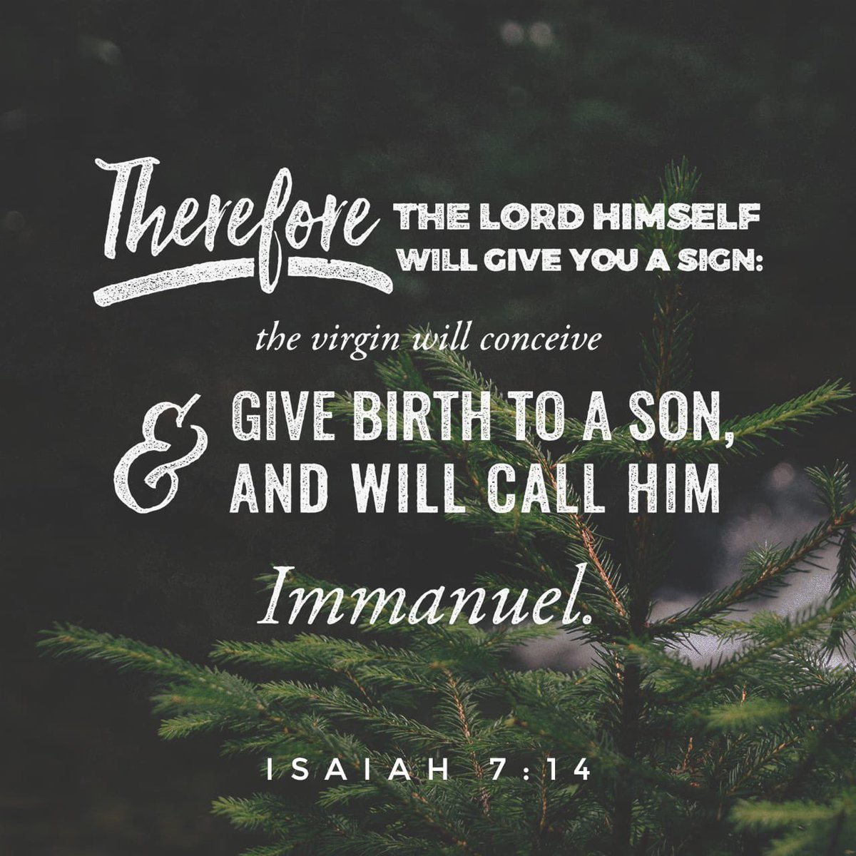 KnowMuchMore's tweet image. Isaiah 7:14