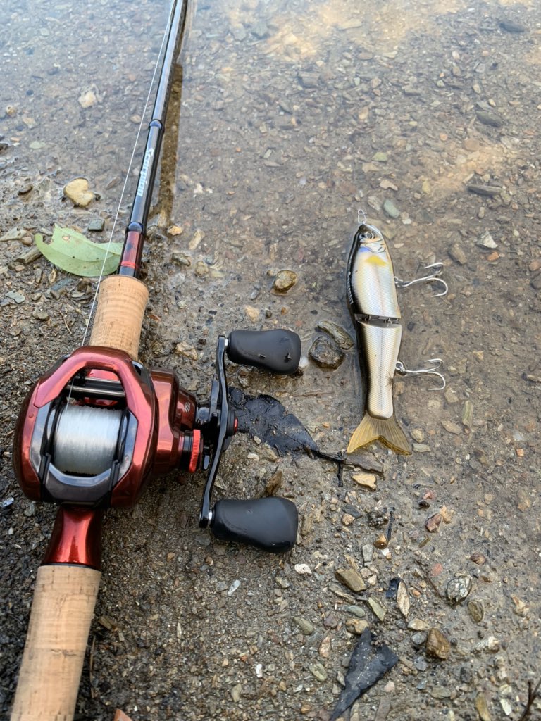 تويتر 1652r بحث في تويتر