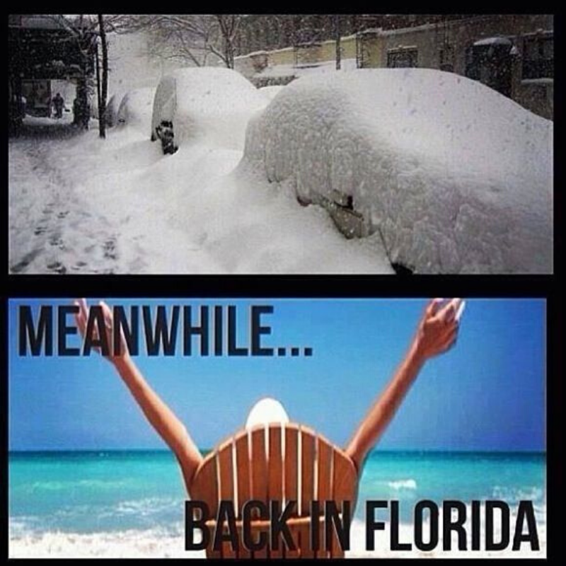LowBrowPizza's tweet photo. It's the first day of winter, everyone!

What type of "winter" activity are you participating in today? 😎🌴

#lowbrowpizzaandbeer #alocalmadejoint #grittyeastnaples #naplesfl #craftpizza #craftbeer #pizza #pizzalover #instafood #beer #beerporn #instabeer #craftnotcrap #happyhour https://t.co/gVFTaUpRlt