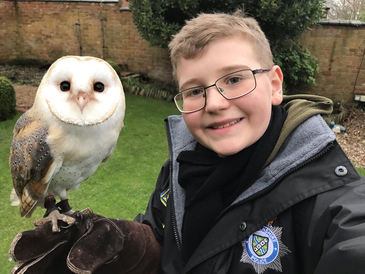 Animalassistedtherapy Hashtag On Twitter