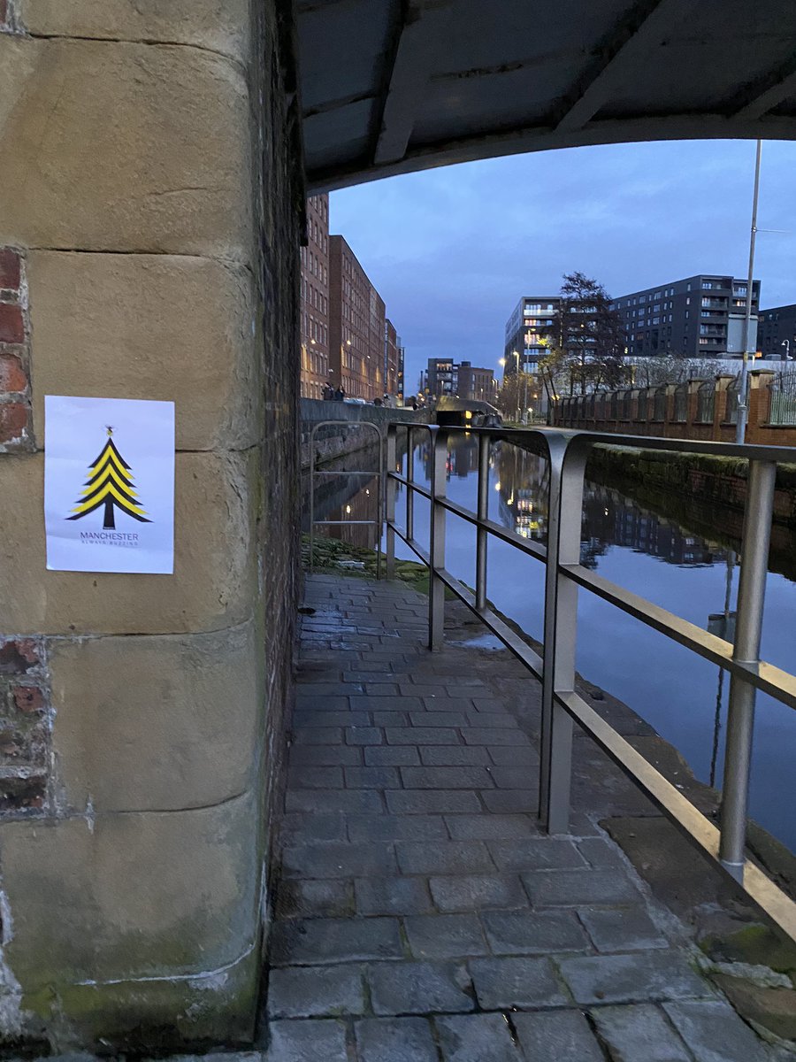 RealMancsy's tweet photo. Final one for now #free #bee #Manchesrer #Ancoats #screenprint #giveaway https://t.co/TIey1I6rYX