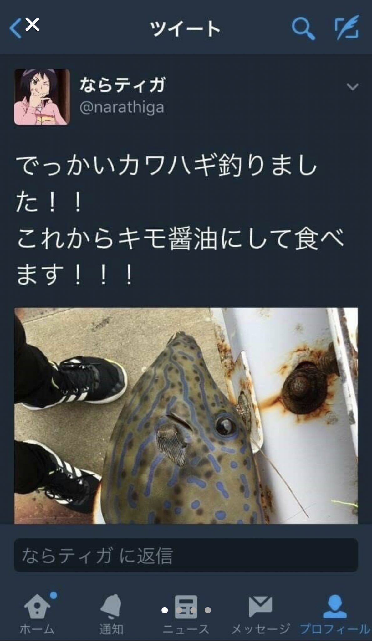 猛毒魚を危うく食べてしまうところtwitterに救われたニュース 話題の画像プラス 猛毒魚を危うく食べてしまうところtwitterに救われたニュース 話題の画像プラス