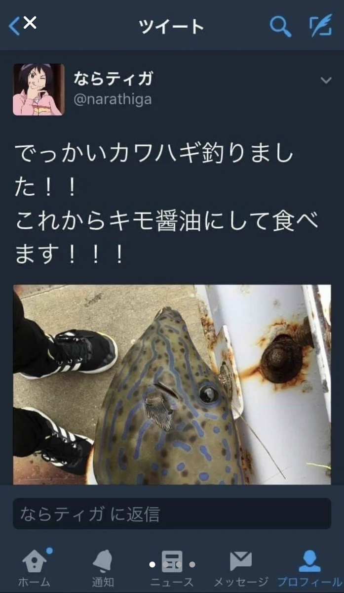 猛毒魚を危うく食べてしまうところTwitterに救われたニュース