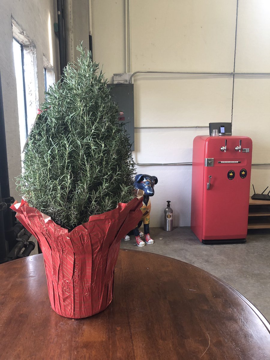 beerdogging's tweet photo. We finally have a plant in the office. Really does something for the room don’t you think? https://t.co/hqIuzjqGrg