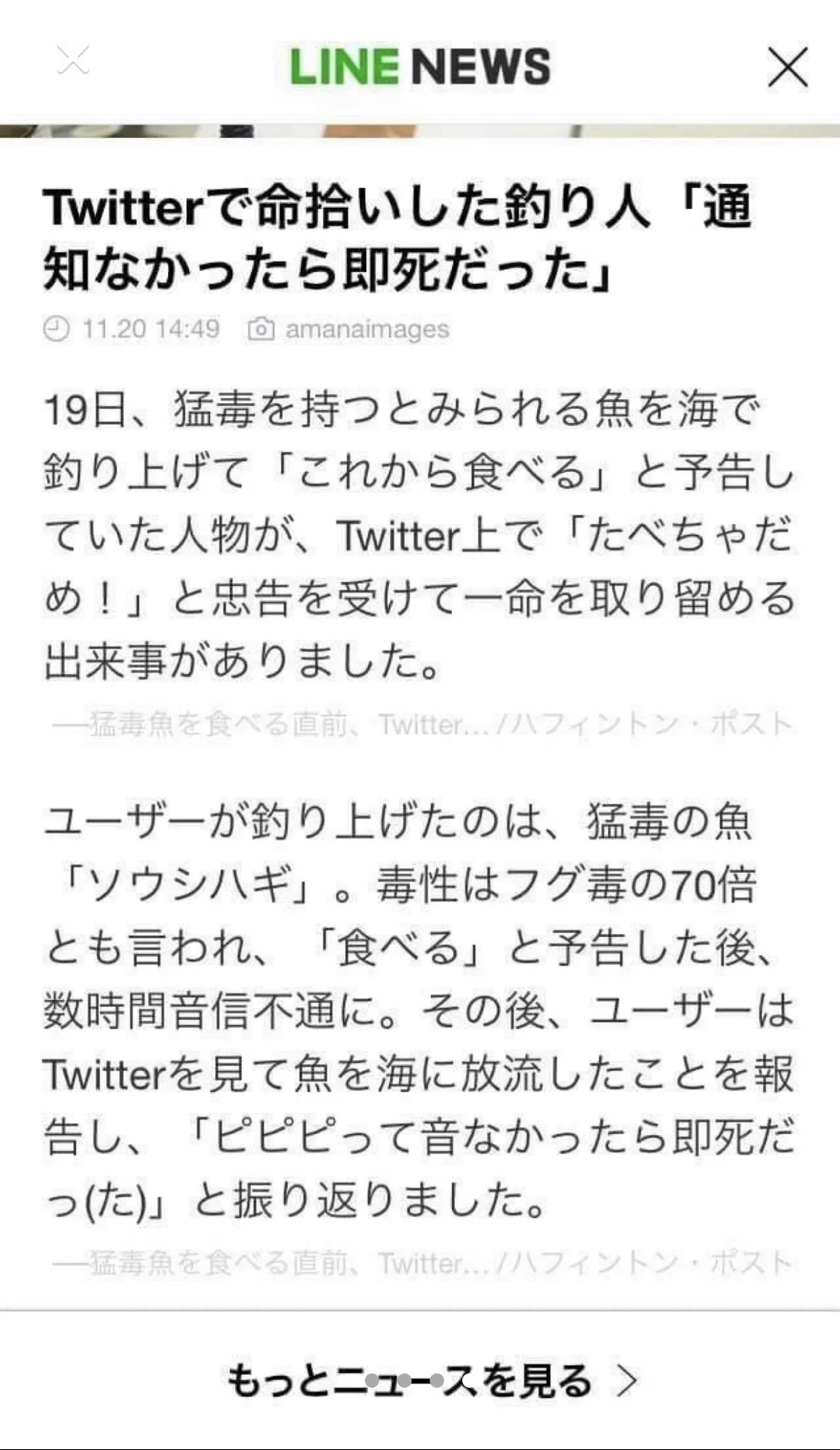 猛毒魚を危うく食べてしまうところTwitterに救われたニュース