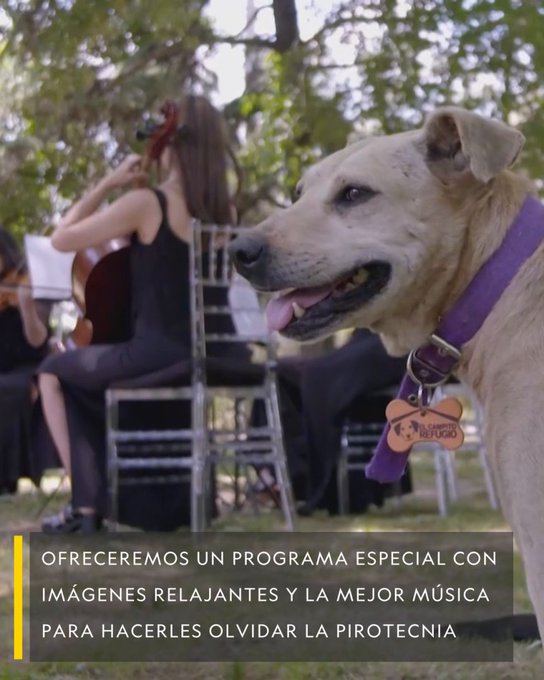Video insertado
