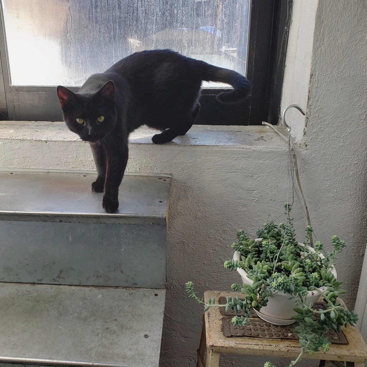 Look at her SMOLDER.