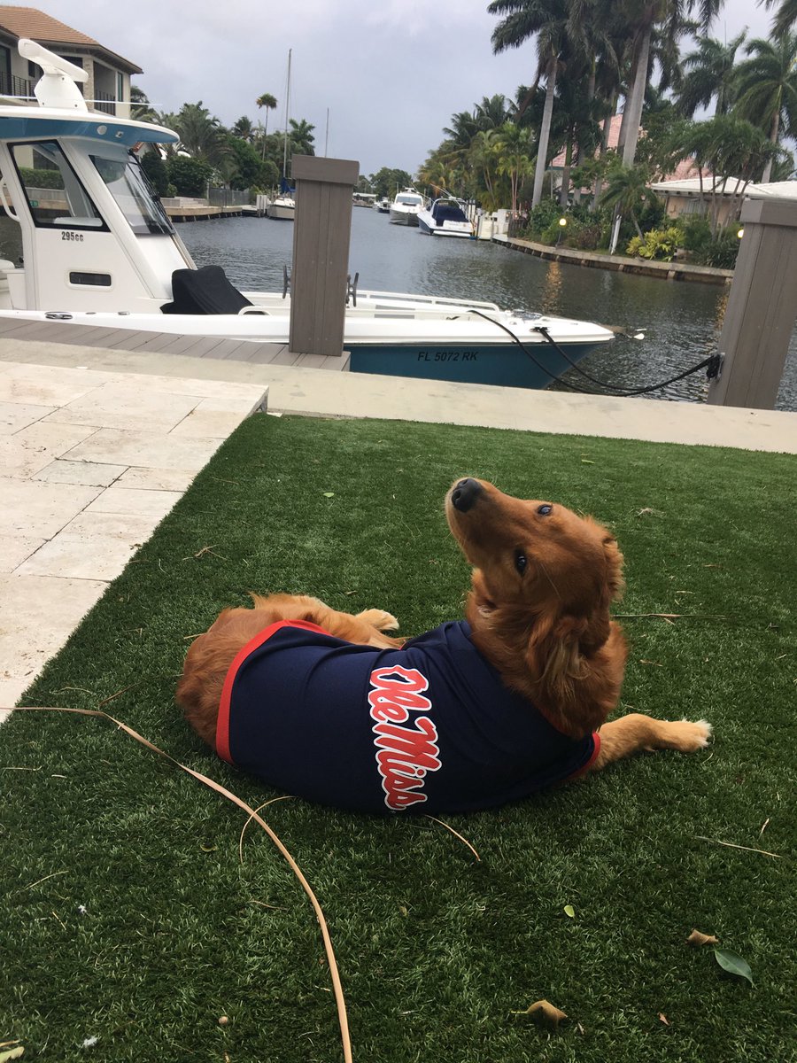 Lane_Kiffin's tweet photo. Does anyone have a powder blue jersey for my girl? ⁦@OleMissFB⁩ https://t.co/QKVE1dz7iX
