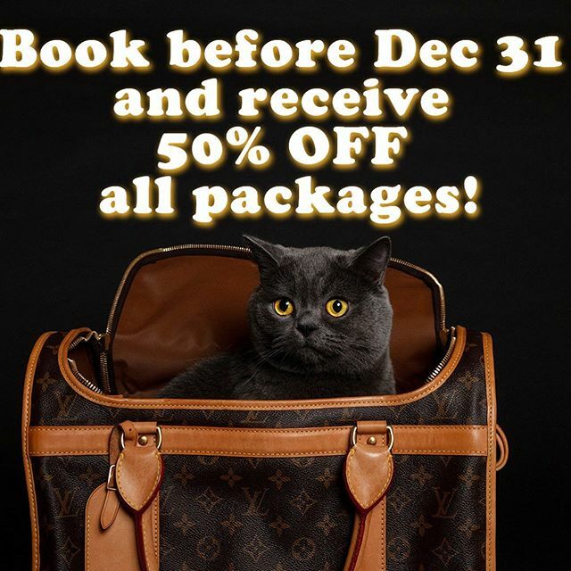 petsbysorrell's tweet photo. Wait. What?!!!! Book any studio package from now until Dec 31 for 50% off package price! 
This sale does not include prints or anything discussed after booking. 
Slide into my dms for availability or any questions you may have regarding this sale or my w… https://t.co/BNtM1vNvtq https://t.co/wQWyFyFzPE