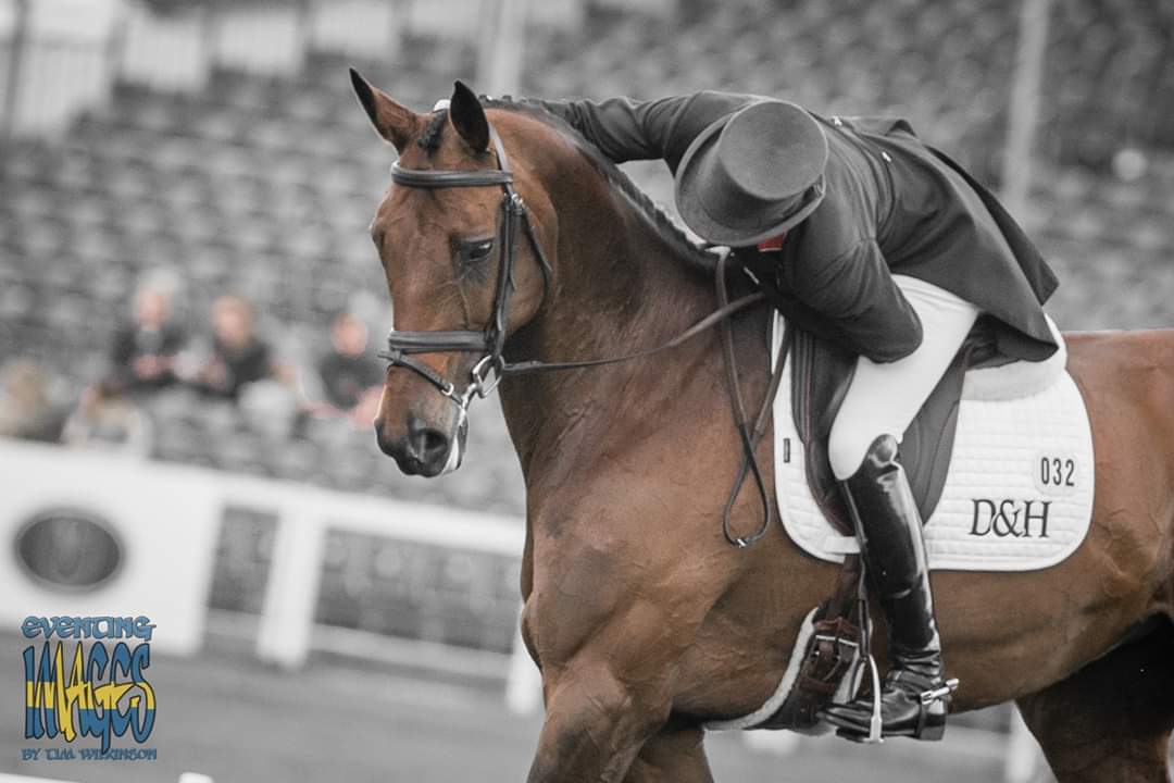 Please head over to facebook and vote Vanir Kamira for <a href="/EquiRatings/">EquiRatings</a> horse of the year! She is simply the best and totally deserving of this following an amazing season!  @Piggy_French #piggyfrench #ehoty #mmbht