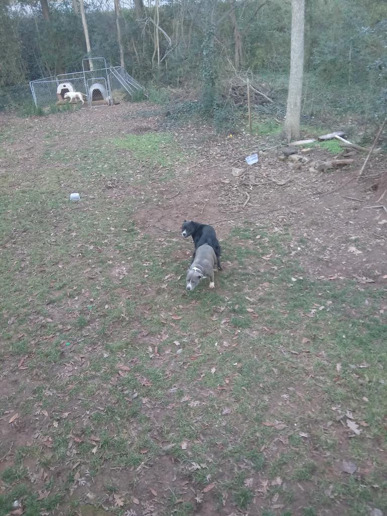 RahWhitlock's tweet image. 