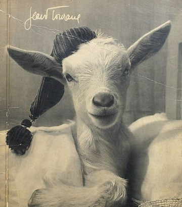 Happy Holidays Everyone torontoknitcafe.wordpress.com/2019/12/21/hap…