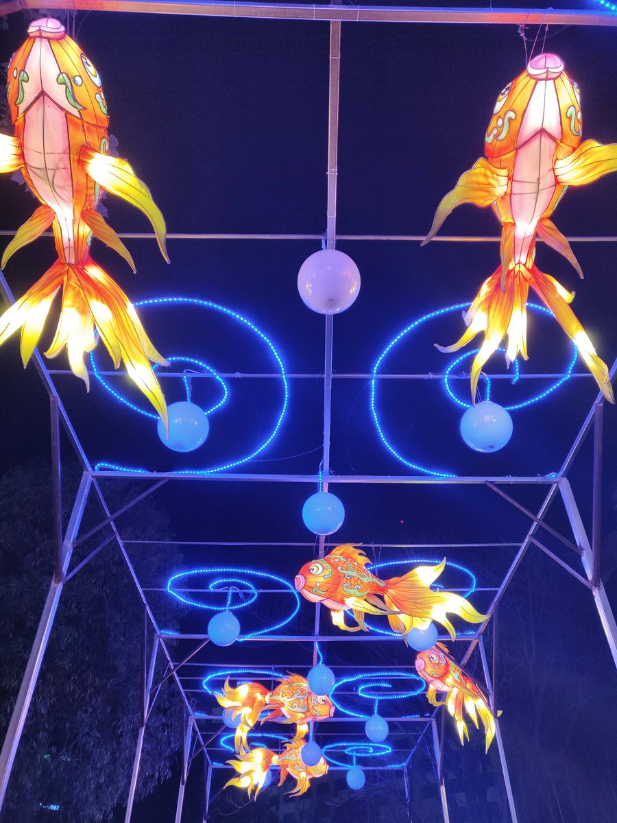 VisitCotedazur's tweet photo. Un spectacle féerique qui nous fait voyager en Chine le temps d'un moment ! Nice, baie des lumières vous donne rdv jusqu'au 23 février !
#NICEBDL #CotedAzurFrance https://t.co/4dEhFcNdhc