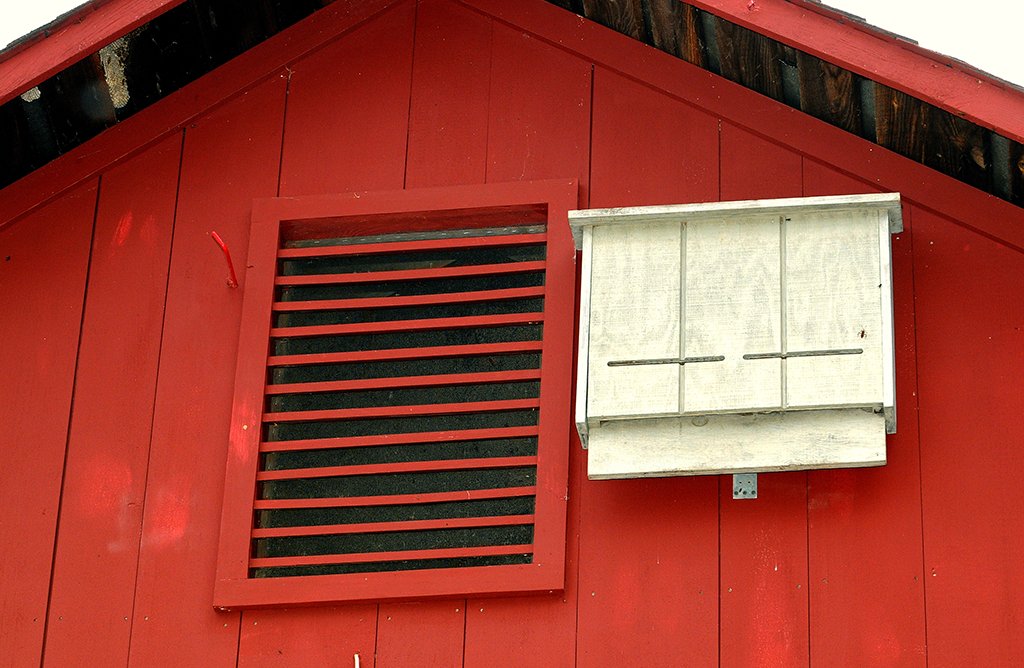 MassDFG's tweet image. Looking for a #winterproject? Build a bat house! These small buildings are a great way to support #bat conservation. 🦇 mass.gov/bathouses