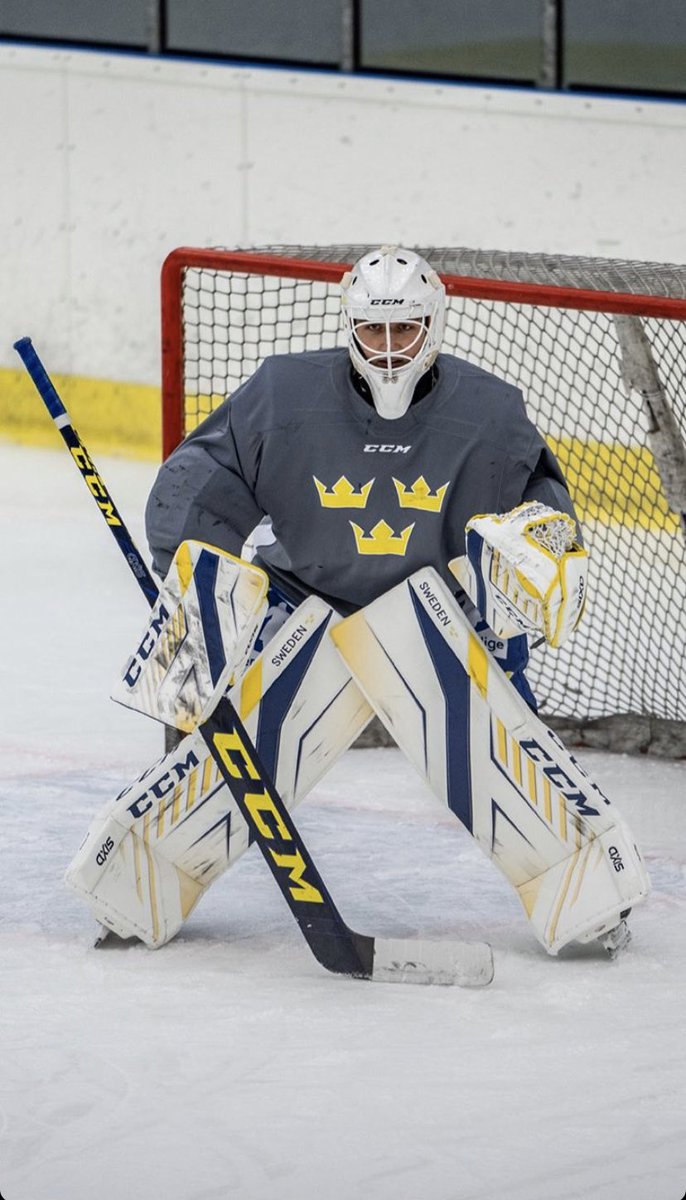 ccm axis goalie