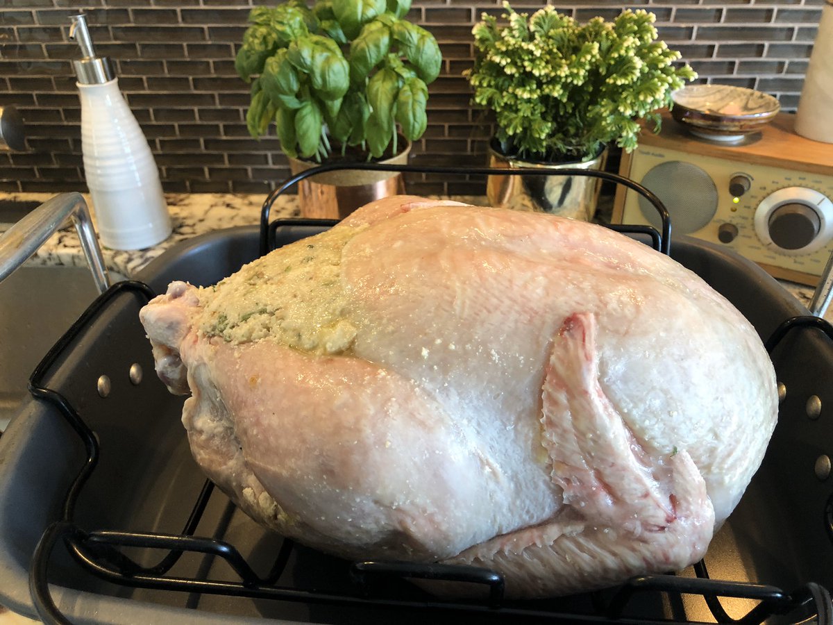 Anna_Iacobelli's tweet photo. Prepping turkey for tonite’s guests. Who am I ??? #chefisworking #never2old2learn #surprisemyself!! https://t.co/6P3IFA7GCw