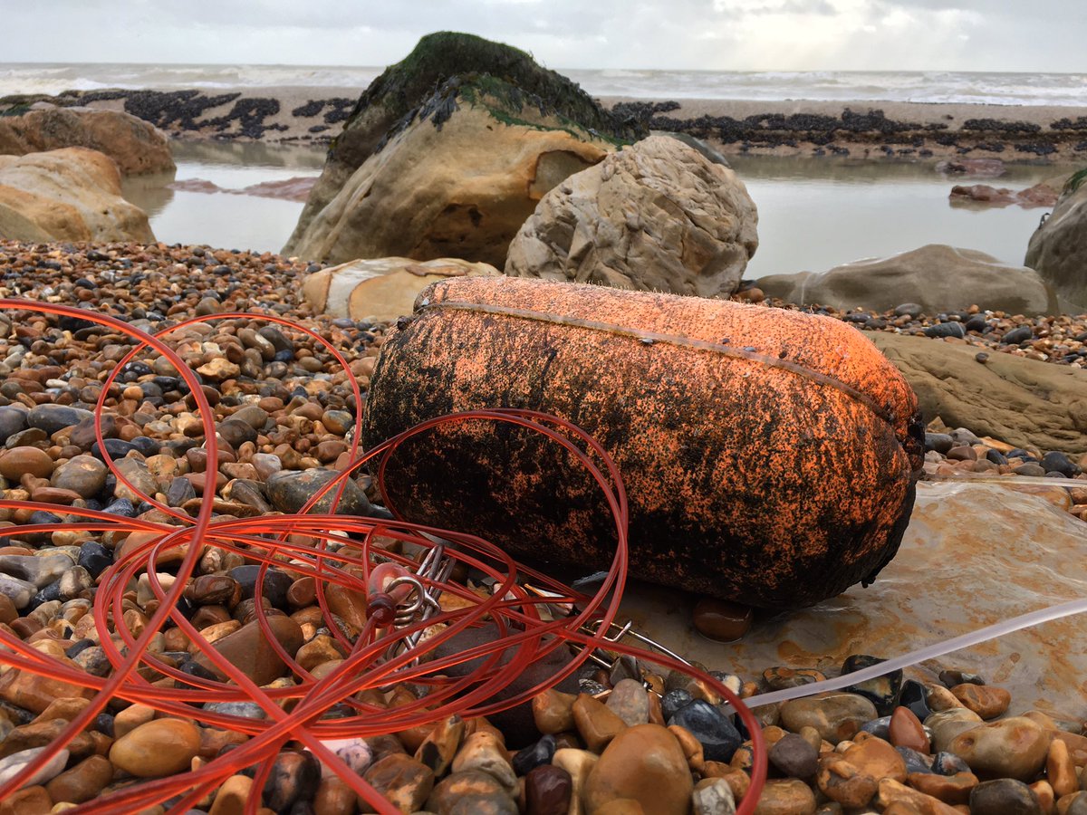 LaraQuinn15's tweet image. Sadly a simple stroll along the beach cannot be had without filling a bag full of litter. Rope, wet wipes, sanitary item and goose barnacles washed up in the morning tide. #hastings #cleanseasplease #2minutebeachclean