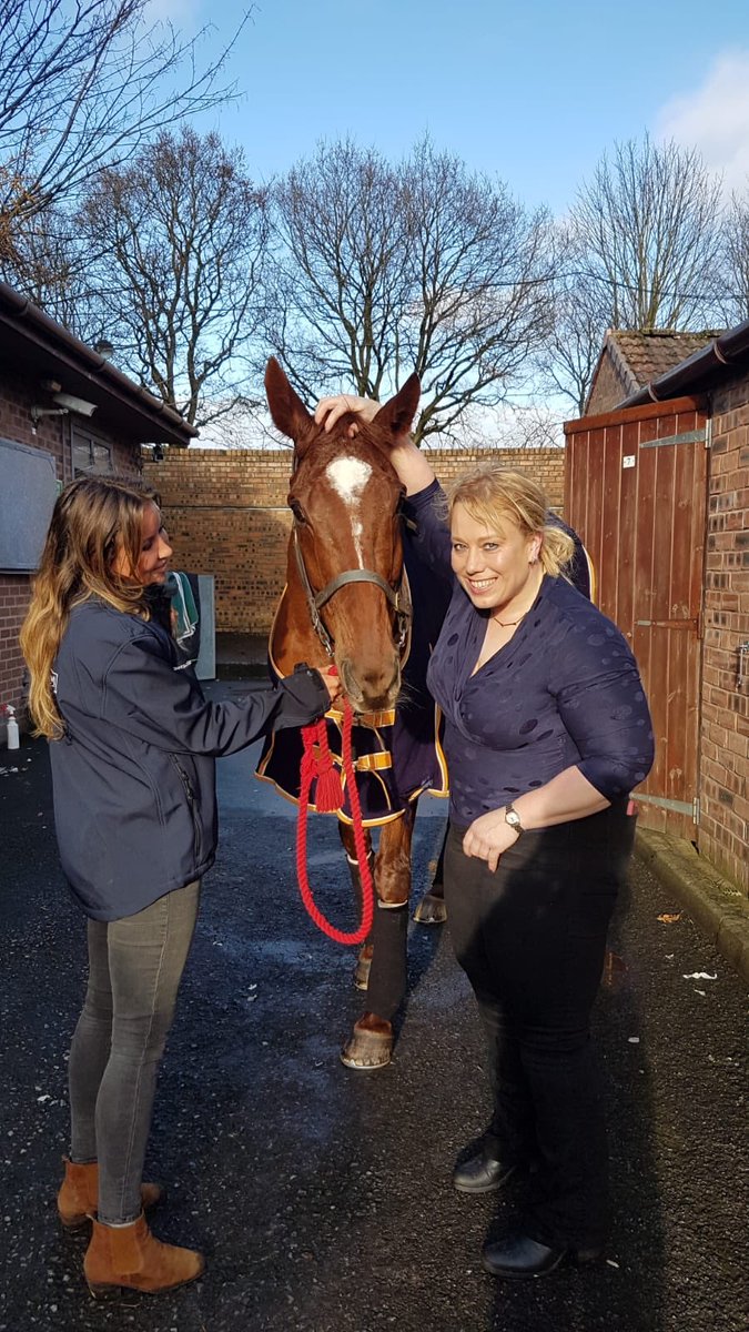 beaubai's tweet photo. A great day out @haydockraces with Top Gamble. Well ridden by @richpatrick17 #thirdtoday #legend https://t.co/mDCexrcl0m