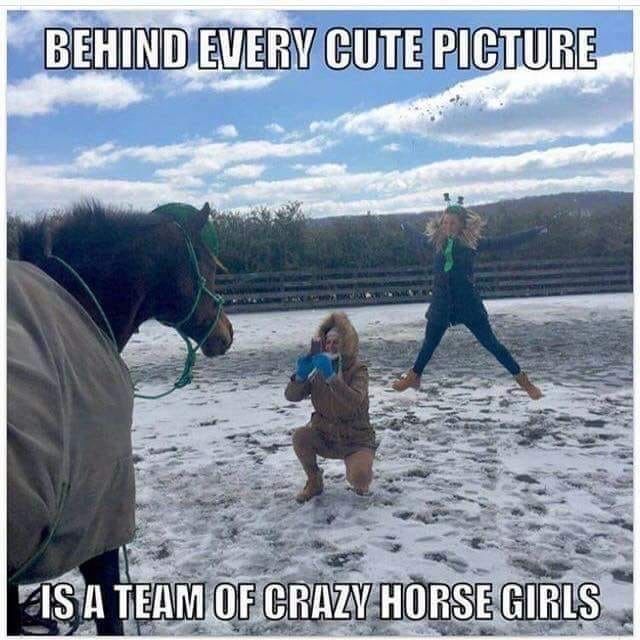 G_EquestrianUK's tweet image. Standard procedure surely 🐴📷🤣

#ponyhour #horsechathour #starjumps #equinephotographer