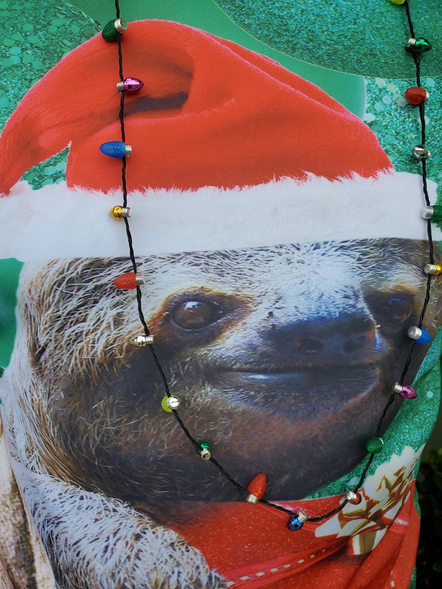 Ready to spread some Christmas cheer with the #theteam #region63 #MightyDivision9