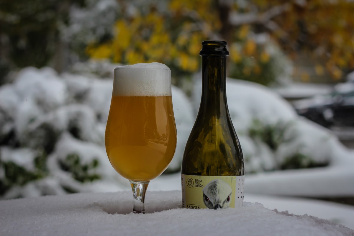 CraftBeerAdvent's tweet photo. DAY 21 Saggia from Birra Dell'Eremo in Assisi, Italy:

"A straw-yellow colored beer with a white long lasting head. The yeast and citrusy scent give way to intense spicy notes of coriander and oranges. The citrus notes make this a thirst quenching beer."

#craftbeeradvent #DAY21 https://t.co/zx9wv3EqGA