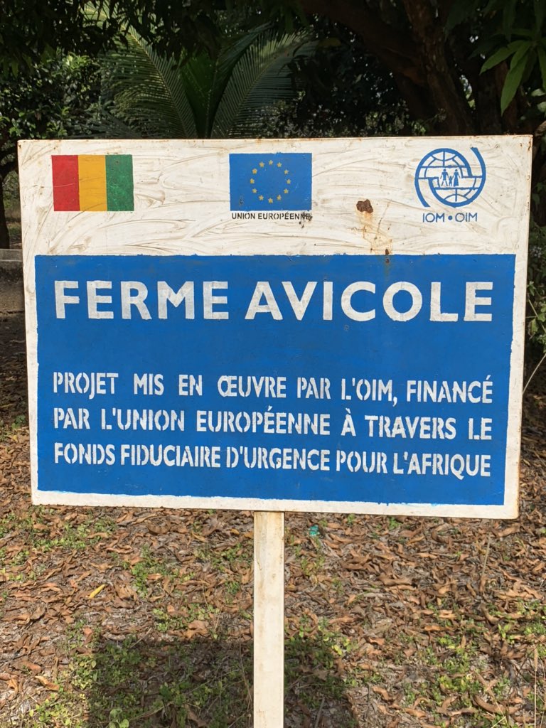 gcurtisgn's tweet photo. Bravo au  #MJDD à Dubréka. Une entreprise agricole concrète avec 32 HA valorisés employants 32 jeunes migrants retournés de Libye. La preuve que l’on peut réussir en Guinée et dans l’Agriculture. #InvestirenGuinee #JeunesDynamiques https://t.co/6tiFc3aMwJ