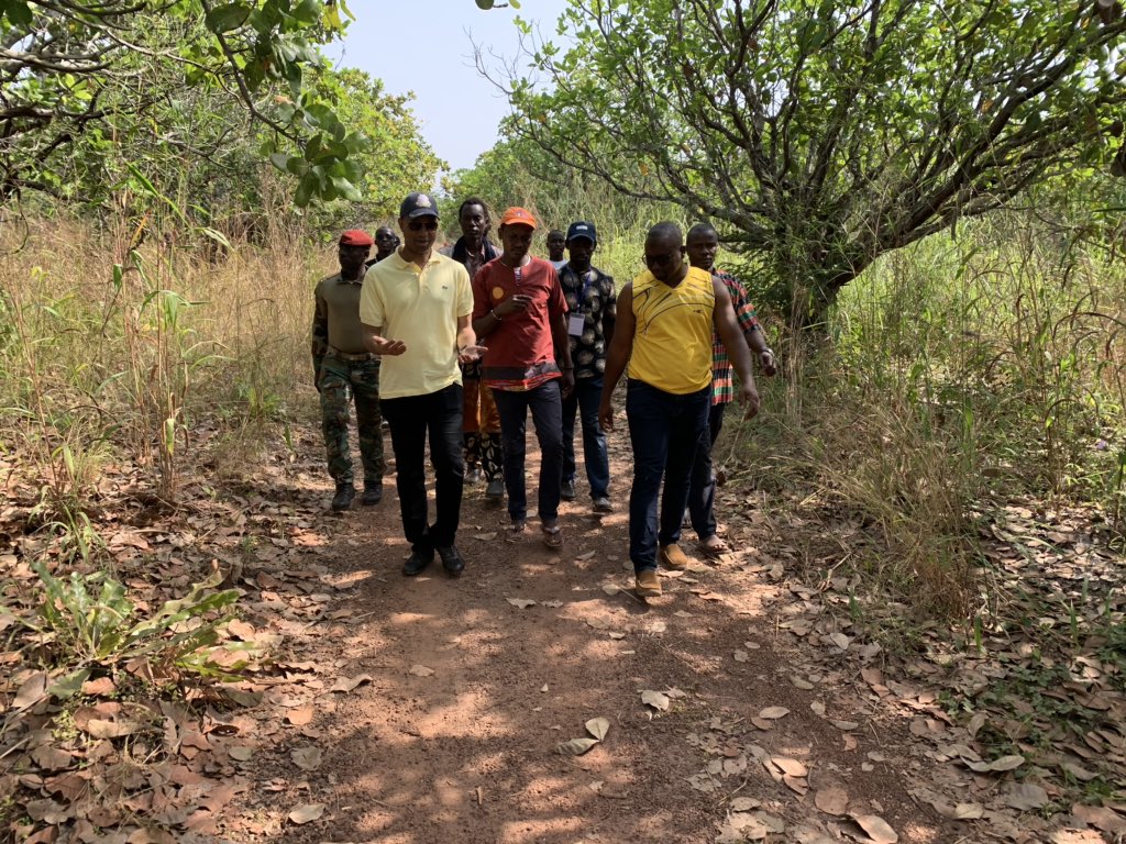 gcurtisgn's tweet photo. Bravo au  #MJDD à Dubréka. Une entreprise agricole concrète avec 32 HA valorisés employants 32 jeunes migrants retournés de Libye. La preuve que l’on peut réussir en Guinée et dans l’Agriculture. #InvestirenGuinee #JeunesDynamiques https://t.co/6tiFc3aMwJ
