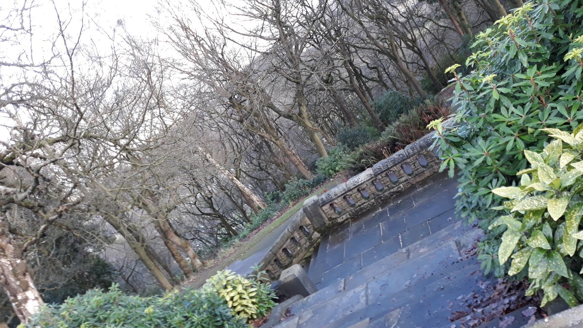 KirkleesMayor's tweet photo. @KirkleesMayor we had a tour around Beaumont park's where art meets nature a #magnificent park with #ornate features #cascades #grottos #steepcliffs #pictureque #woodlandwalks #Kirklees #huddersfield https://t.co/3oK2iLV5MP