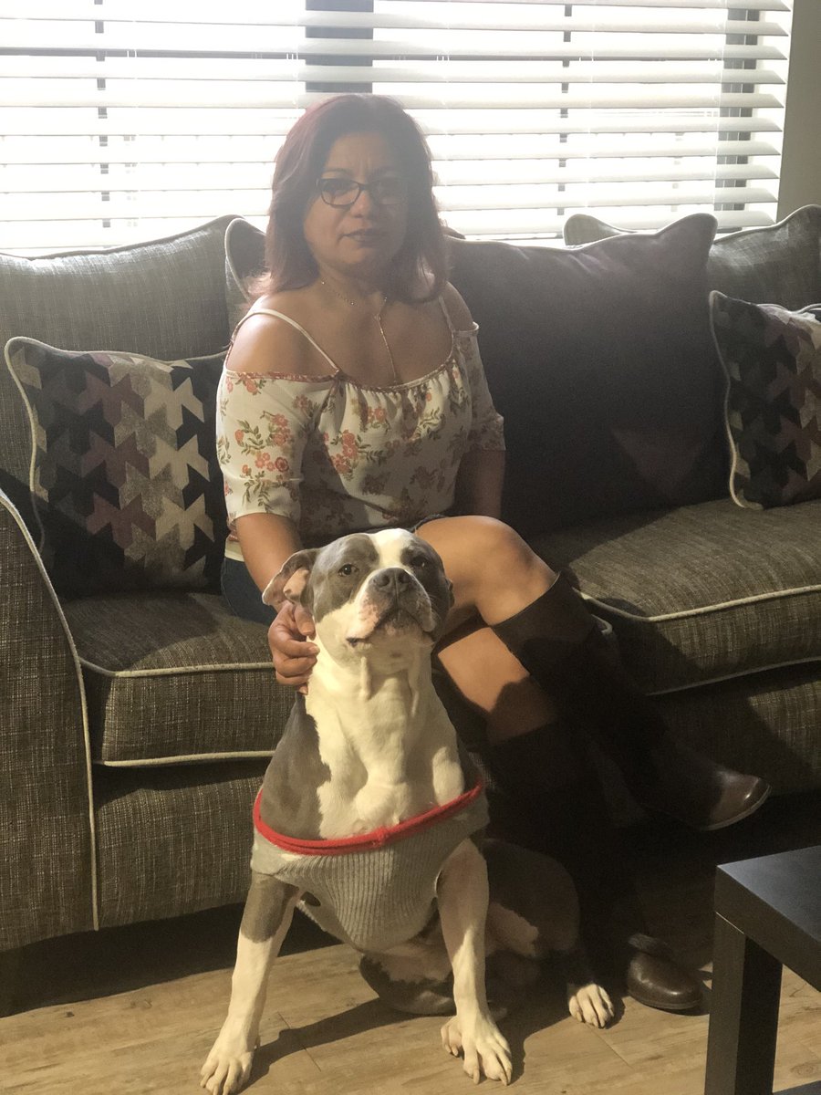 christyiisabel's tweet photo. My mom 4 years ago: “No me gustan los pit bulls. Son malos y están feos” 

My mom now: https://t.co/v8Ifwsi2ZZ