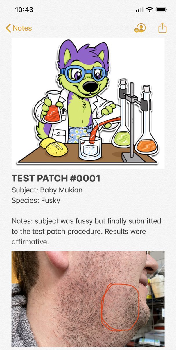 NachoHusky's tweet photo. After weeks of resistance this morning I finally was able to do my first #TestPatch on @MukianShadowpaw This is TOP SECRET Space Husky Research! https://t.co/v9FCZmeD37