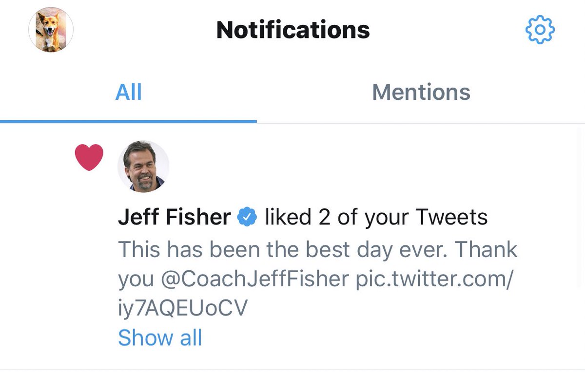 RingotheDingo tweet media