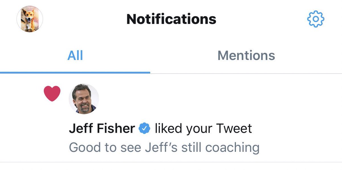 RingotheDingo tweet media